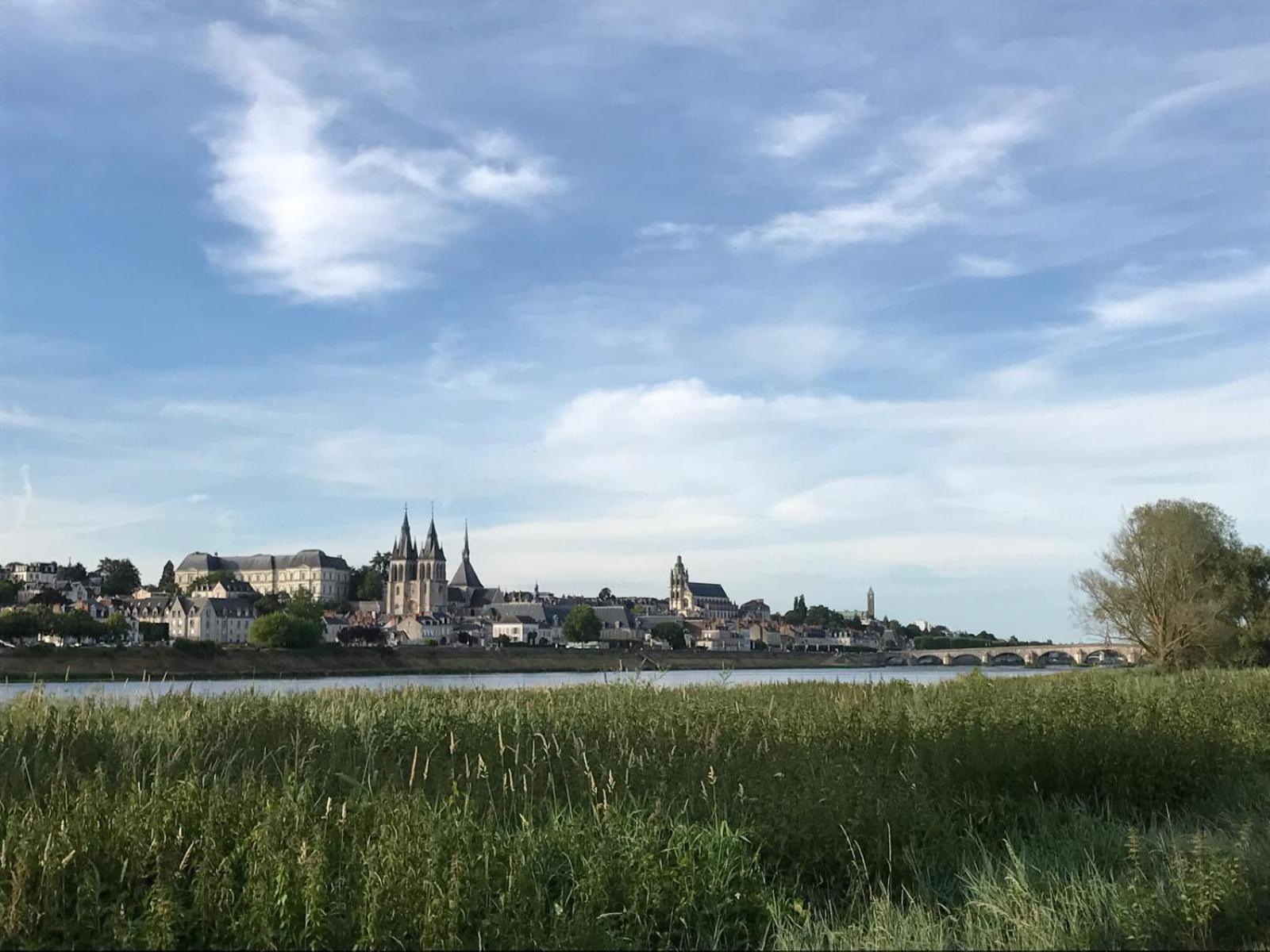 Quai De La Loire Apartment Blois Ngoại thất bức ảnh