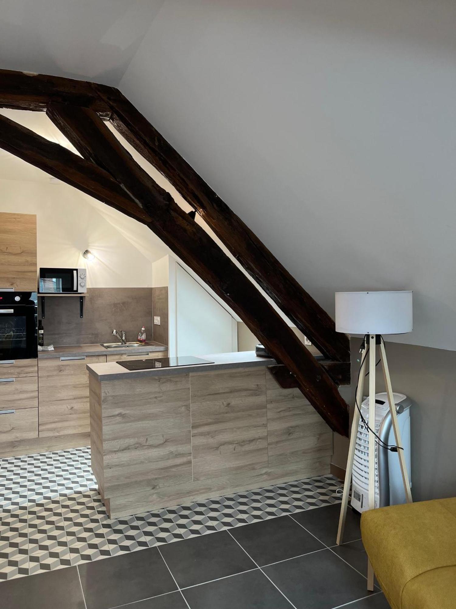 Quai De La Loire Apartment Blois Ngoại thất bức ảnh