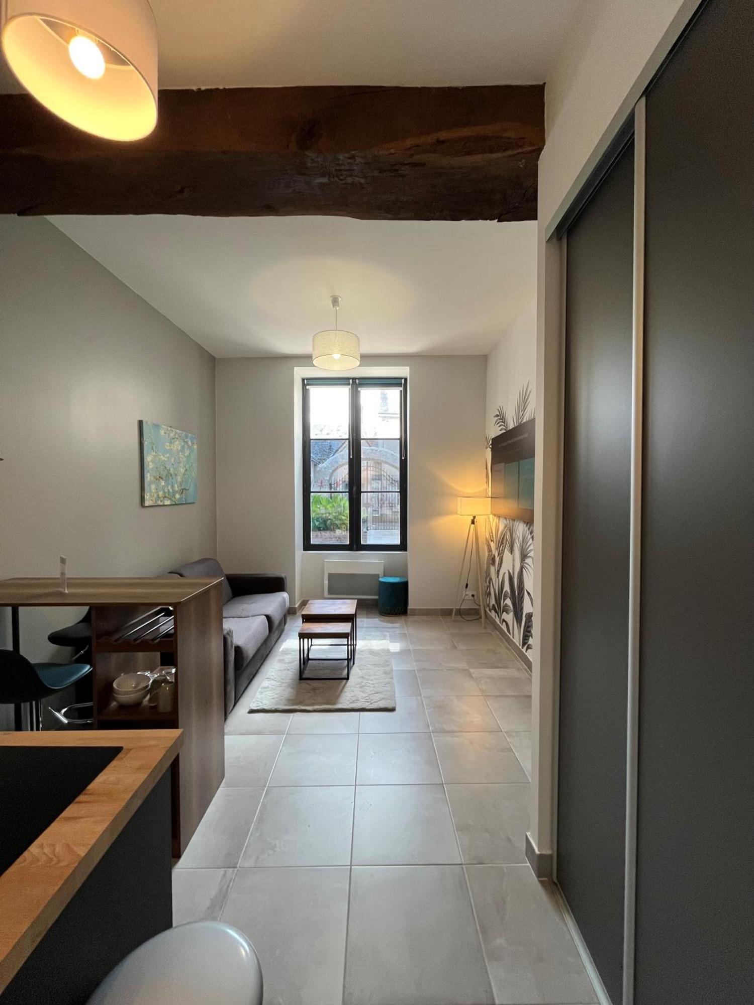 Quai De La Loire Apartment Blois Ngoại thất bức ảnh