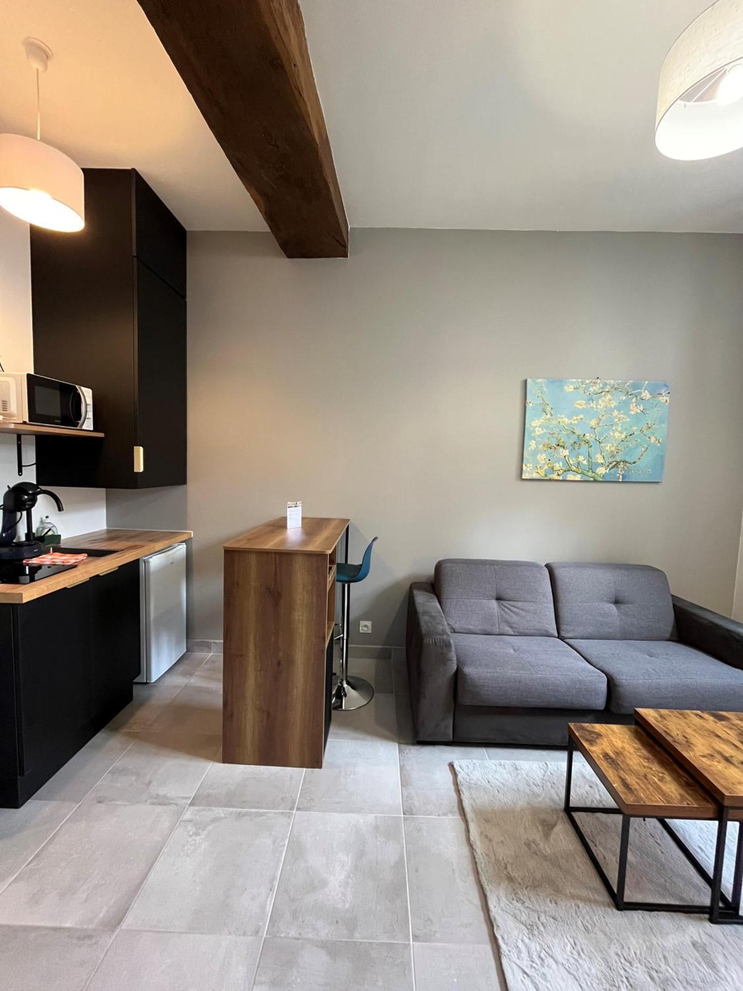 Quai De La Loire Apartment Blois Ngoại thất bức ảnh