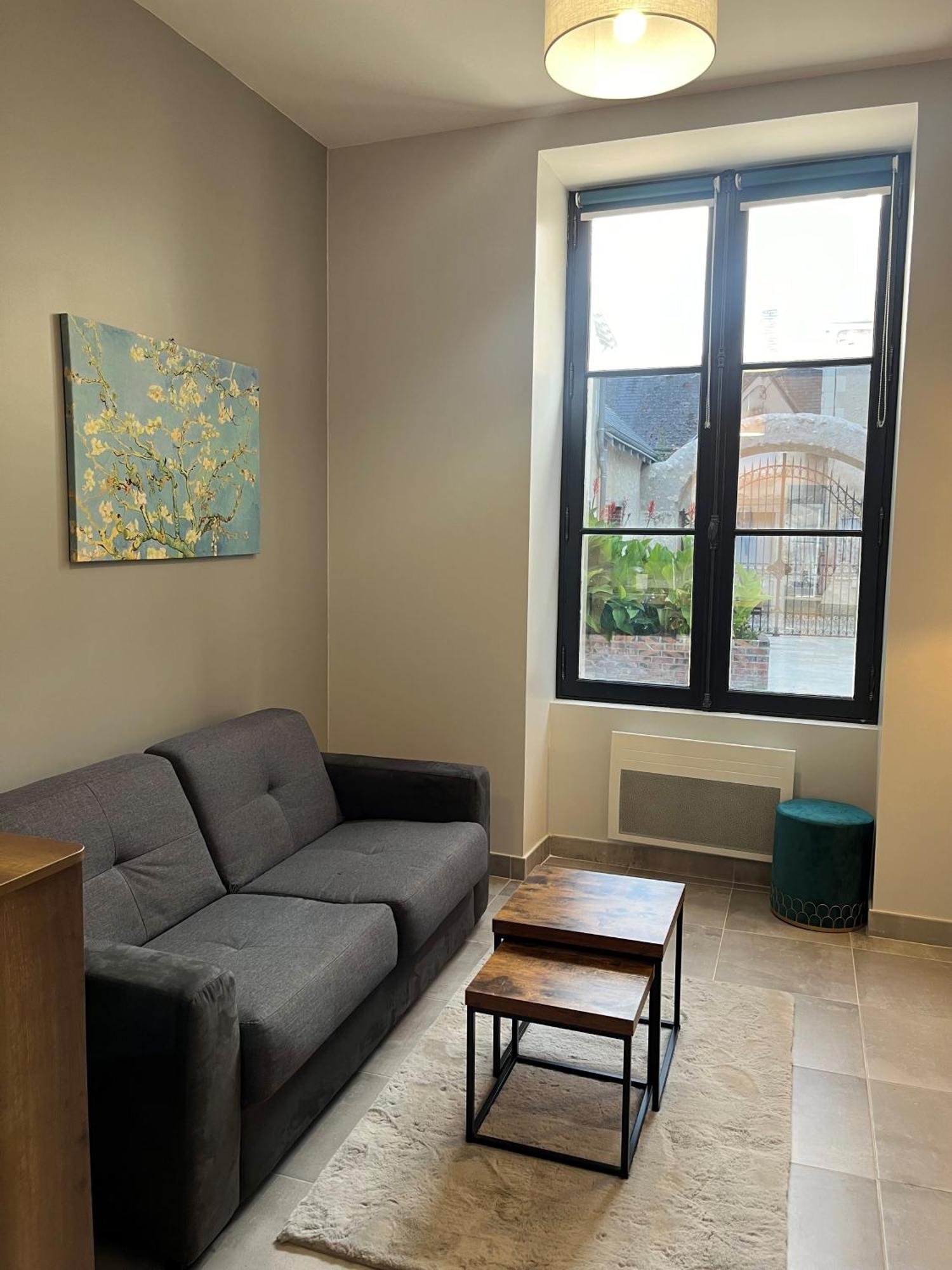 Quai De La Loire Apartment Blois Ngoại thất bức ảnh