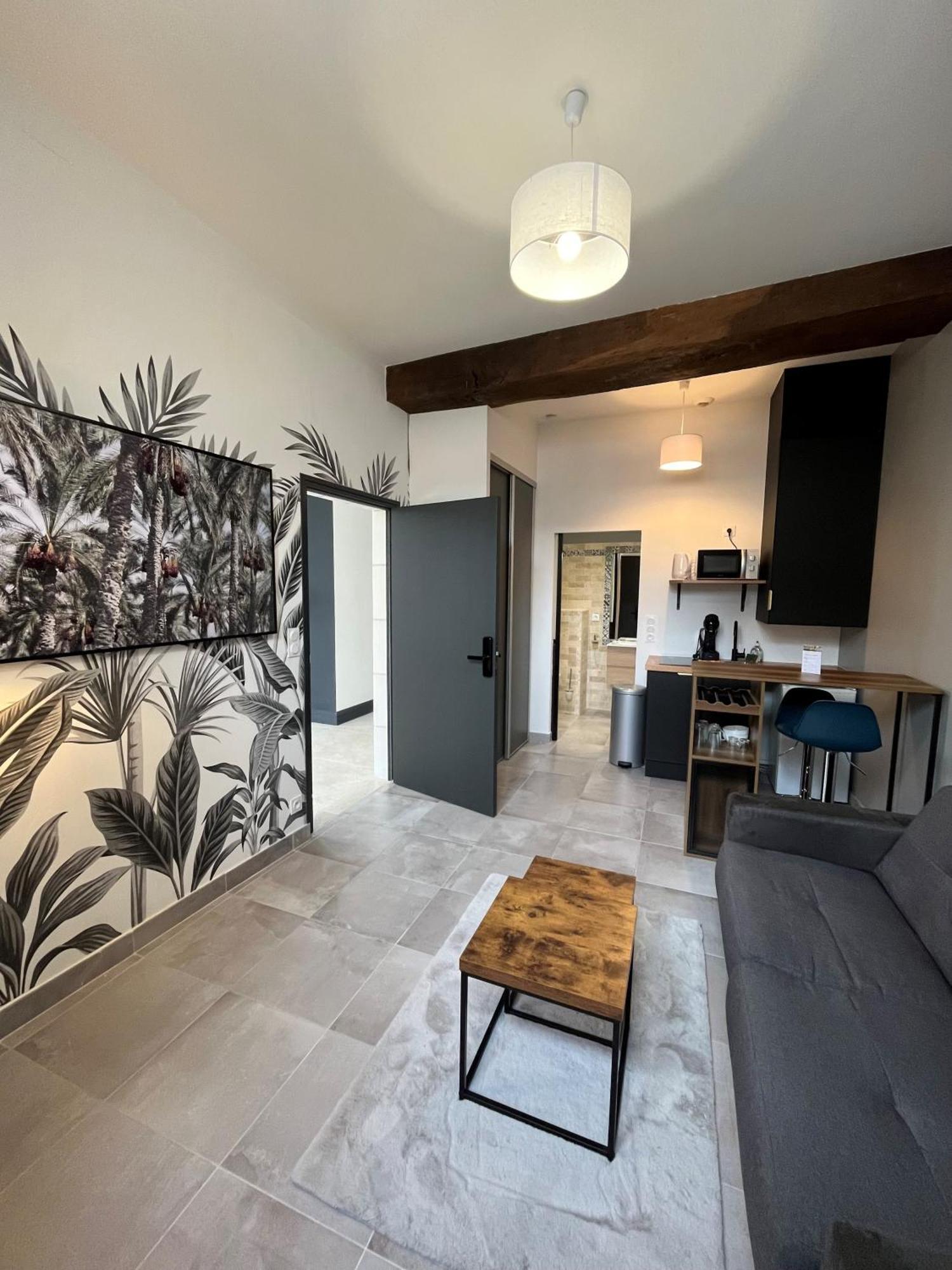Quai De La Loire Apartment Blois Ngoại thất bức ảnh