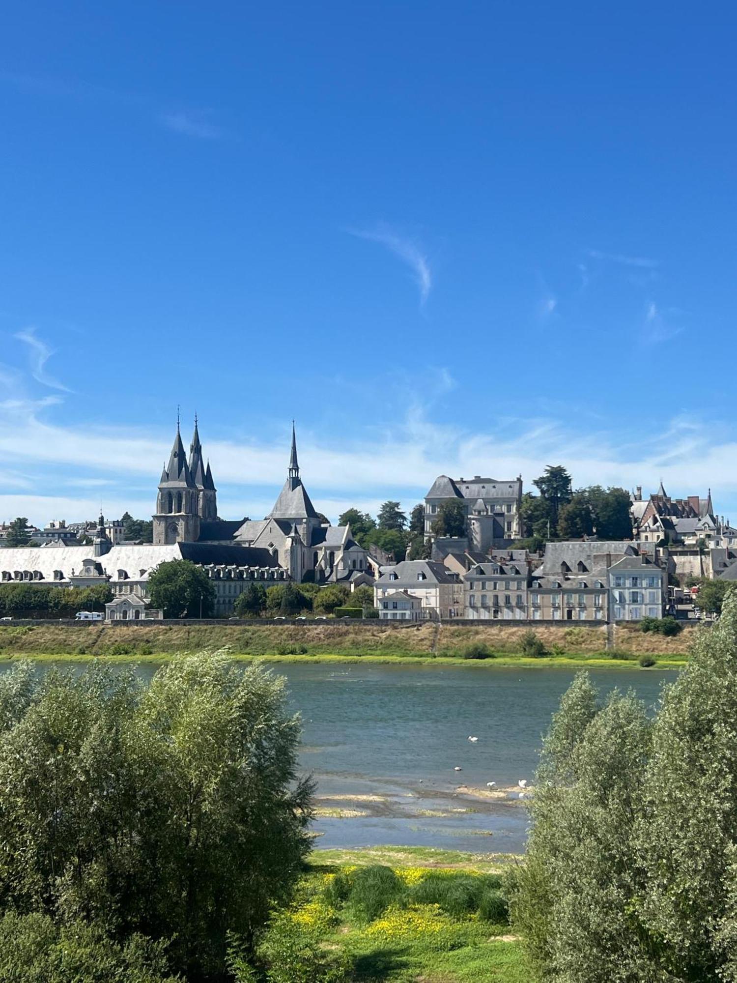 Quai De La Loire Apartment Blois Ngoại thất bức ảnh