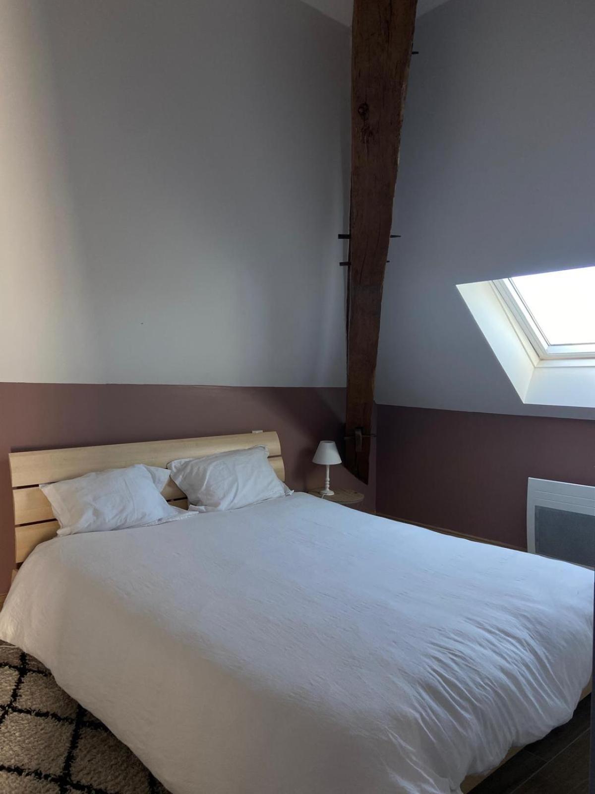 Quai De La Loire Apartment Blois Ngoại thất bức ảnh